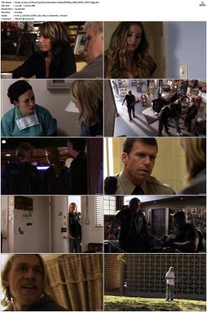 Sons of Anarchy S01 S07 SUPER-PACK 1080p WEBRip 10Bit DDP5 1 HEVC-d3g