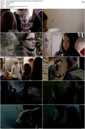 Wolfblood S01 S05 WEBRip EAC3 2 0 1080p x265-iVy