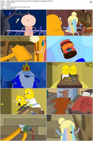 Adventure Time 2008 S01-S10 + Fionna and Cake 1080p Bluray EAC3 2.0 x265-iVy