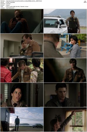 Supernatural S01 S15 WEBRip EAC3 2 0 1080p x265-iVy