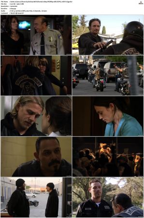 Sons of Anarchy S01 S07 SUPER-PACK 1080p WEBRip 10Bit DDP5 1 HEVC-d3g