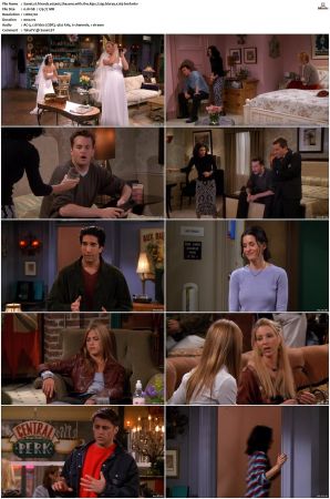 Friends S01-S10 SUPER-PACK 720p BluRay x265-BMF