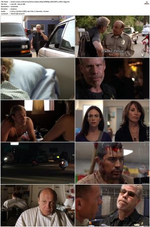Sons of Anarchy S01 S07 SUPER-PACK 1080p WEBRip 10Bit DDP5 1 HEVC-d3g