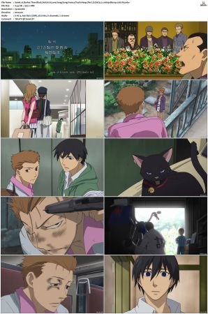 Darker Than Black S01 S02 Bluray EAC3 5 1 1080p x265-iVy