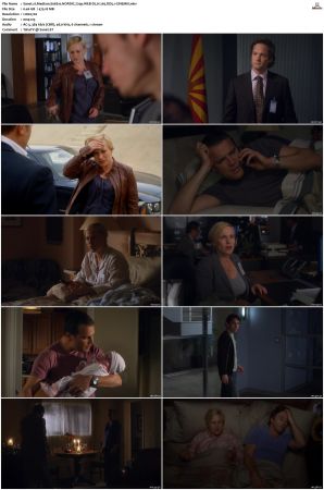 Medium S06 NORDiC 720p WEB-DL H 265 DD5 1-CiNEMiX