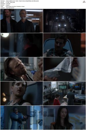 Alphas S01 S02 1080p BluRay x265 HEVC 10bit AAC 5 1 Silence
