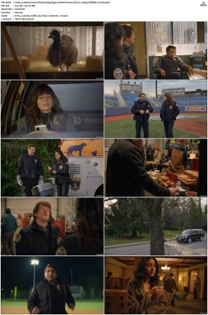 Animal Control S01 S02 1080p AMZN WEBRip DDP 5 1 x265-iVy