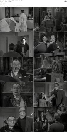 The Munsters 1964 S01 S02 DVDRip MPEG-NGP