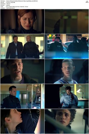 Flashpoint S01-S05 SUPER-PACK 720p BluRay x265-BMF