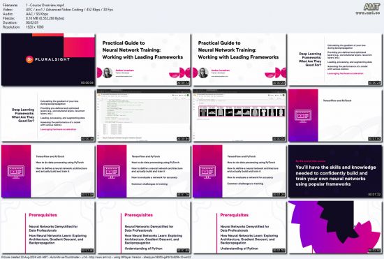 Practical Guide to Neural Network Training: Working with Leading Frameworks