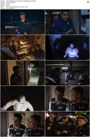 Wellington Paranormal S01 S04 720p BluRay H265 BONE