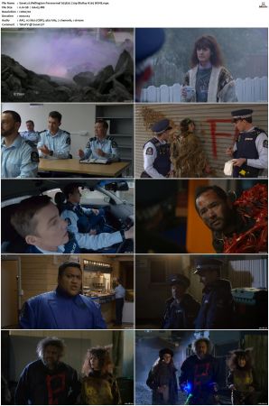 Wellington Paranormal S01 S04 720p BluRay H265 BONE