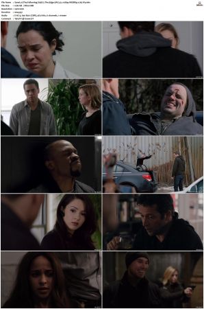 The Following S01-S03 1080p WEBRip EAC3 5.1 x265-iVy