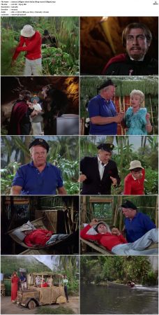 Gilligans Island S01 S03 DVDRip H264-NGP