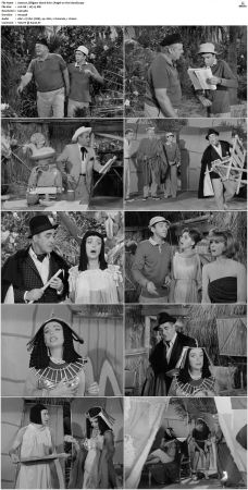 Gilligans Island S01 S03 DVDRip H264-NGP