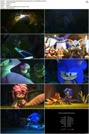 Sonic Prime S01 S03 WEBRip EAC3 5 1 1080p x265-iVy