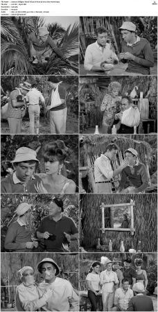 Gilligans Island S01 S03 DVDRip H264-NGP