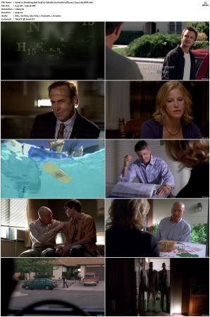 Breaking Bad S01 S05 SUPER-PACK 720p Bluray x265-BMF