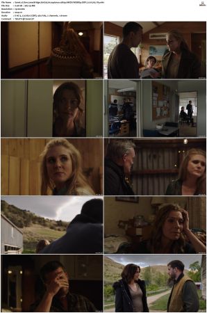 One Lane Bridge S01 S03 1080p AMZN WEBRip DDP 20 x265-iVy