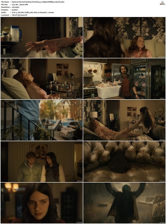 Servant 2019 S01 S04 WEBRip EAC3 5 1 1080p x265-iVy