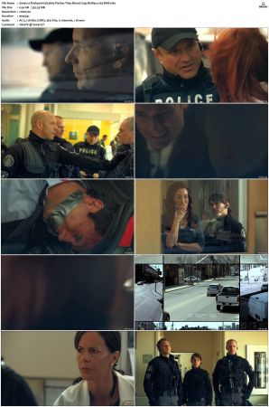 Flashpoint S01-S05 SUPER-PACK 720p BluRay x265-BMF
