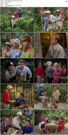 Gilligans Island S01 S03 DVDRip H264-NGP