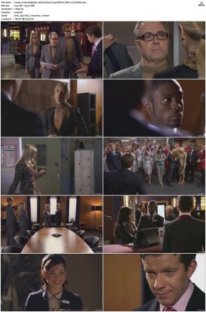 Hotel Babylon 2006 S01 S04 720p WEB-DL HEVC x265 BONE