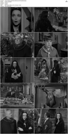 The Addams Family 1964 S01 S02 DVDRip X264-NGP