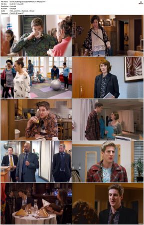 Siblings S01 S02 SUPER-PACK DVDRip x264-HAGGiS
