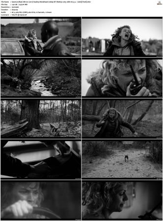 Black Mirror S01-S06 SUPER-PACK WEBRip-BluRay 1080p x265-MIXED