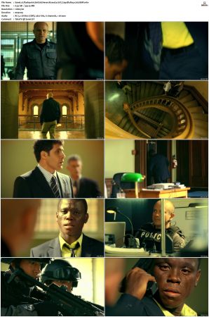 Flashpoint S01 S05 SUPER-PACK 720p BluRay x265-BMF