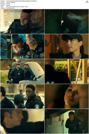 Flashpoint S01-S05 SUPER-PACK 720p BluRay x265-BMF