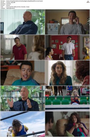 Young Rock S01 S03 SUPER-PACK 1080p BluRay-WEB DDP 5 1 x265-iVy