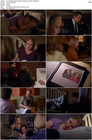 Medium S06 NORDiC 720p WEB-DL H 265 DD5 1-CiNEMiX