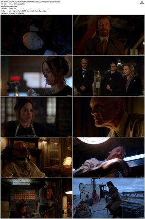 The Strain S01 S04 Bluray EAC3 5 1 1080p x265-iVy