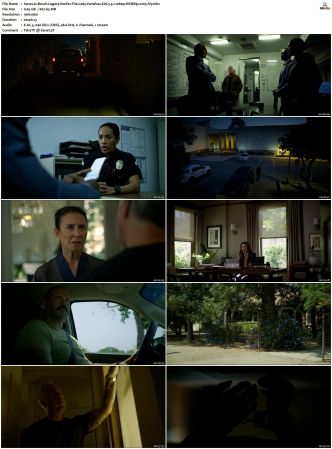 Bosch Legacy S01 S02 SUPER-PACK 1080p AMZN WEBRip DDP 5 1 x265-iVy
