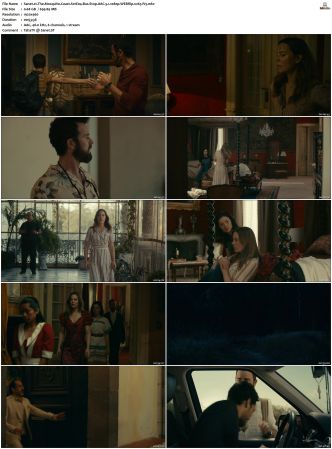 The Mosquito Coast 2021 S01 S02 SUPER-PACK WEBRip AAC 5 1 1080p x265-iVy