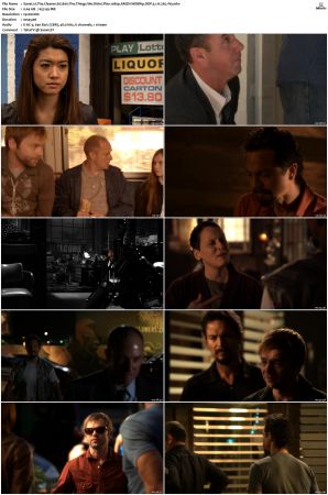 The Cleaner S01 S02 1080p AMZN WEBRip DDP 5 1 x265-iVy