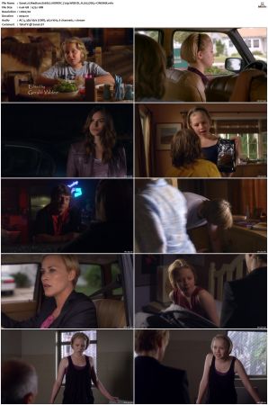 Medium S06 NORDiC 720p WEB-DL H 265 DD5 1-CiNEMiX