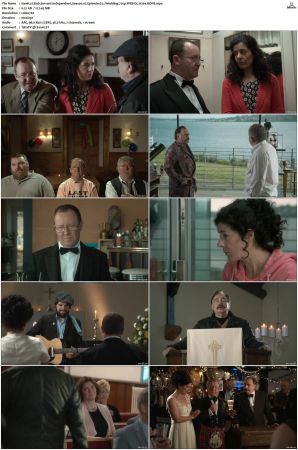 Bob Servant Independent 2013 S01 S02 720p WEB-DL H264 BONE