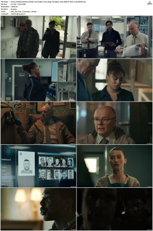 McDonald and Dodds 2020 S01 S04 720p REPACK WEB-DL HEVC x265 BONE