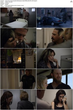 Sons of Anarchy S01-S07 SUPER-PACK 1080p WEBRip 10Bit DDP5.1 HEVC-d3g