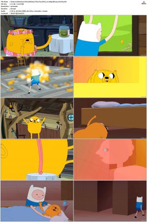 Adventure Time 2008 S01-S10 + Fionna and Cake 1080p Bluray EAC3 2.0 x265-iVy