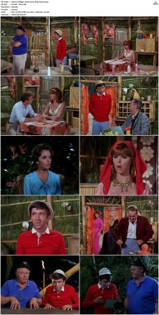 Gilligans Island S01 S03 DVDRip H264-NGP