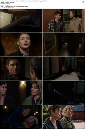 Supernatural S01 S15 WEBRip EAC3 2 0 1080p x265-iVy