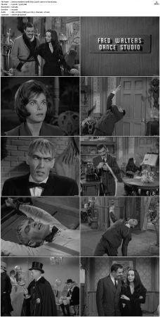 The Addams Family 1964 S01 S02 DVDRip X264-NGP