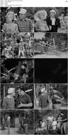 Gilligans Island S01 S03 DVDRip H264-NGP
