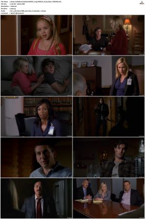 Medium S05 NORDiC 720p WEB-DL H 265 DD5 1-CiNEMiX