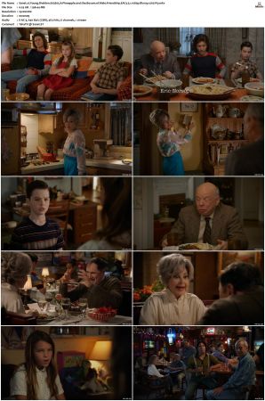 Young Sheldon S01-S07 1080p Bluray-WEB EAC3 5.1 x265-MiXED