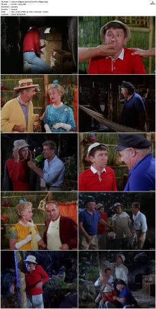 Gilligans Island S01 S03 DVDRip H264-NGP